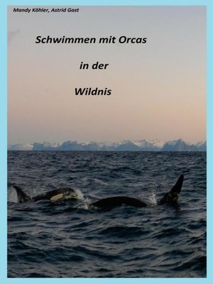 cover image of Schwimmen mit Orcas in der Wildnis